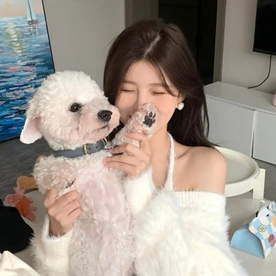 豆豆猫